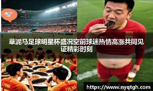 草泥马足球明星杯盛况空前球迷热情高涨共同见证精彩时刻